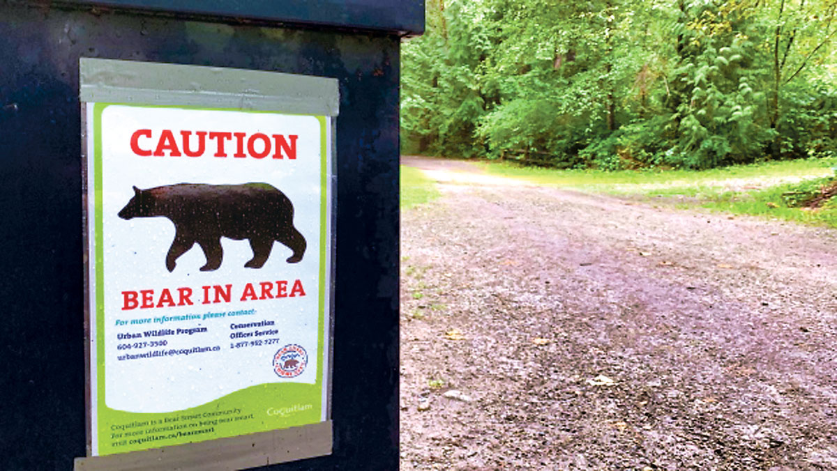 ■高贵林河流公园内的黑熊警告。CTV
