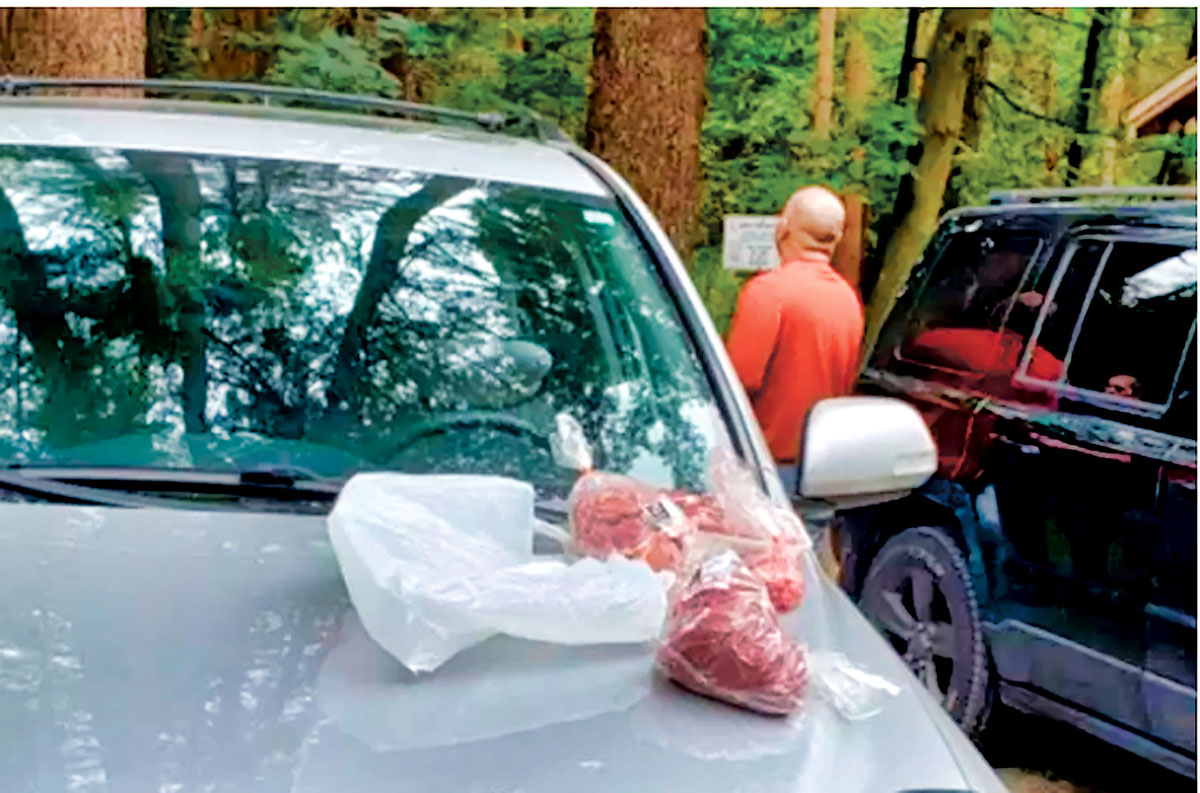 ■上周六， 一部汽车车头有数袋肉类，一名男子正与警员对话。Global News 