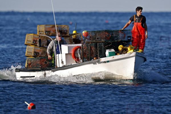 Adam Daggett stands lookout on the bow as his father, John Daggett, pilots their boat back to port, Saturday, Aug. 24, 2019, at Cape Porpoise in Kennebunkport, Maine. Adam is wrapping up his lobstering season and returning to school next week. After a summer of 3:00 AM wake-ups Daggett will now get to sleep in. First bell at Kennebunk High School is not until 7:45 AM. (AP Photo/Robert F. Bukaty)