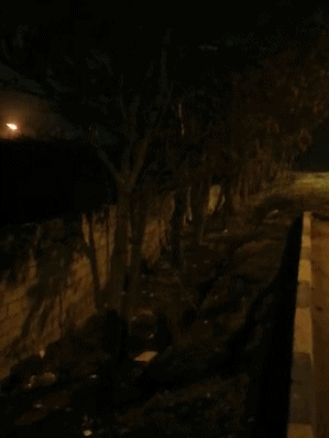 1578456620141_446.gif