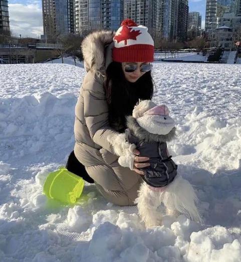 53岁王祖贤素颜近照，雪中抱狗惊艳众人，连发质都保养得青春飘逸