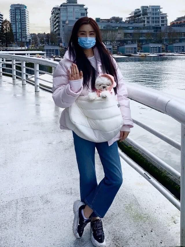 53岁王祖贤素颜近照，雪中抱狗惊艳众人，连发质都保养得青春飘逸