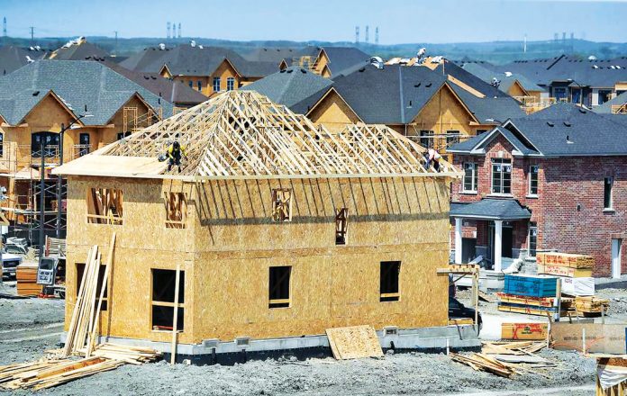 building permit-the star 图片