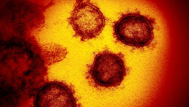 Indian coronavirus variant positive case confirmed in Quebec, first in Canada CTV News