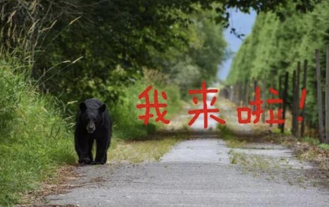 截屏2021-07-01 下午3.46.43.png