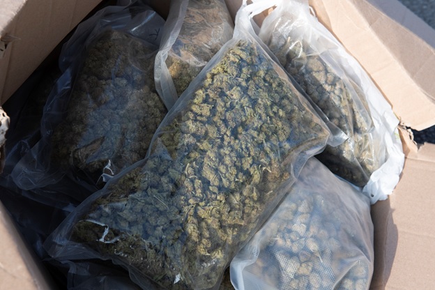 cannbis
