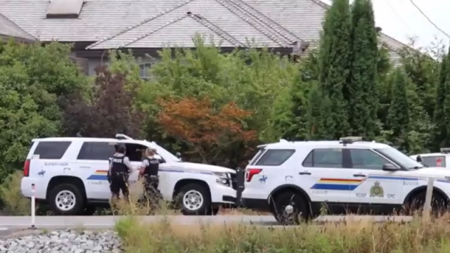 Officials investigate possible 'animal attack' after woman's body found in Pitt Meadows field CTV News