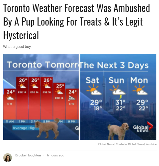23_1S6291006_0.png