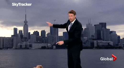 23_1S6291006_1.gif