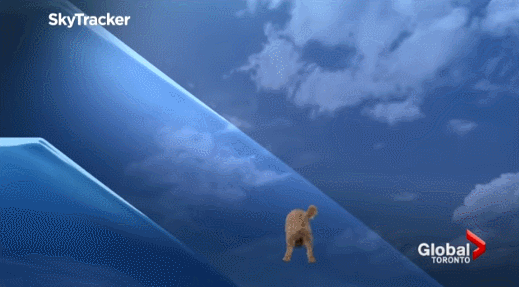 23_1S6291006_2.gif