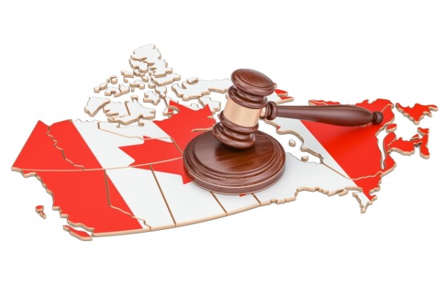 Citizenship Revocation - Appeal the Decision | Gerami Law PC