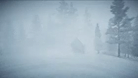 blizz-storm.gif
