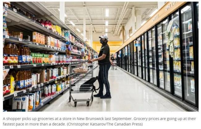 加拿大食品价格暴涨！全国通货膨胀率升至4.8%！