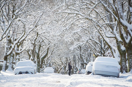 瑞雪兆丰年：环境部预警BC将迎20厘米降雪！别担心，春天很快就来到