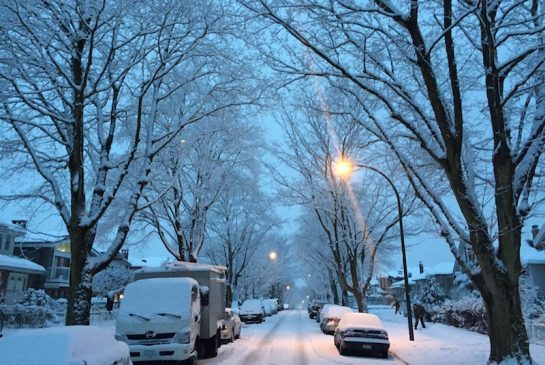 瑞雪兆丰年：环境部预警BC将迎20厘米降雪！别担心，春天很快就来到