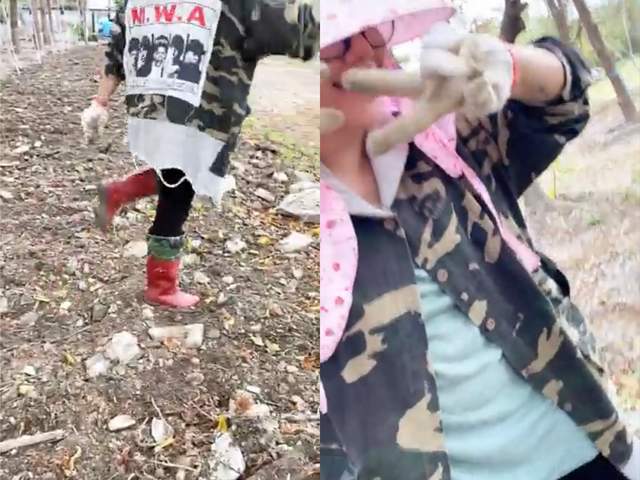 图片