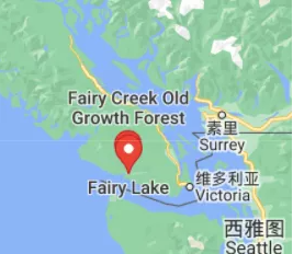 奇迹！BC男子野营失踪74天奇迹获救 暴瘦61磅