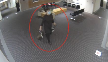 大温华人女子操刀冲进法庭 狂捅同胞 血溅满地