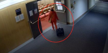 大温华人女子操刀冲进法庭 狂捅同胞 血溅满地
