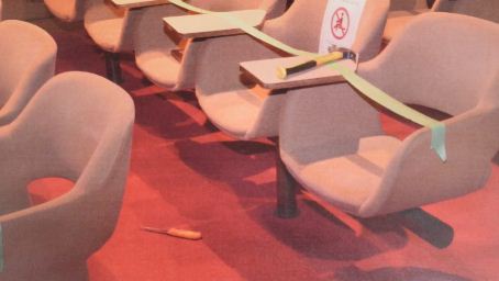 大温华人女子操刀冲进法庭 狂捅同胞 血溅满地