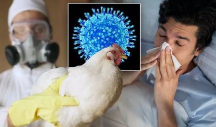 BC突爆新疫情！卫生厅急发新指令 致死率高达60%