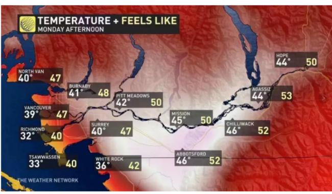 50℃跌到-40℃ 专家警告:灭绝性大流行逼近…