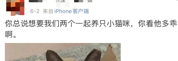 长春餐馆爆炸致17人死亡，幸存阿姨的话让人破防