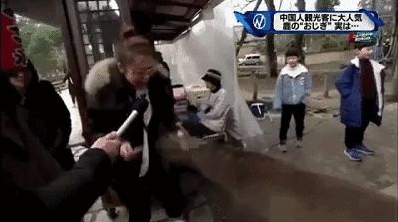 野性！小鹿在市中心追着人咬 女子被熊咬成重伤