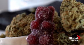 竟有一半BC人认为世上真有鬼！谨防孩子收大麻糖