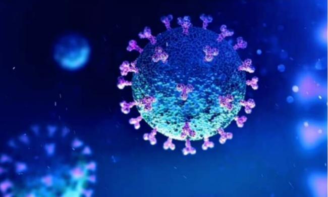 科学家重磅新发现！新冠刺突蛋白可能杀死癌细胞