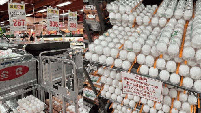 日本蛋價創30年新高 7-11停售溏心蛋 图片