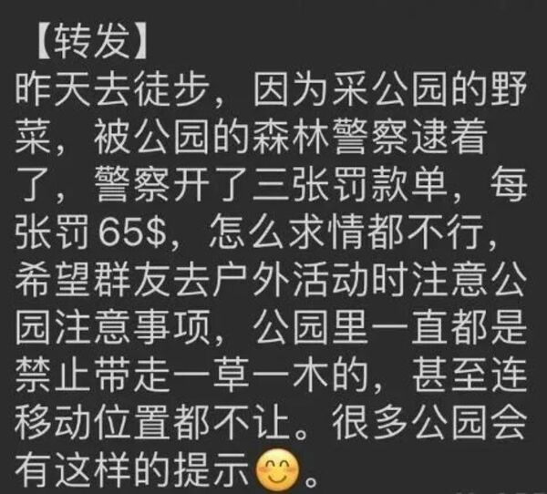 有人薅秃公园，或将被罚
