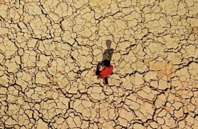 体感直飙42°C，加拿大高温爆表，全国一片红！BC颁布禁令，违者坐牢