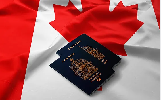 加拿大宣布：港人工作一年可申永久居留