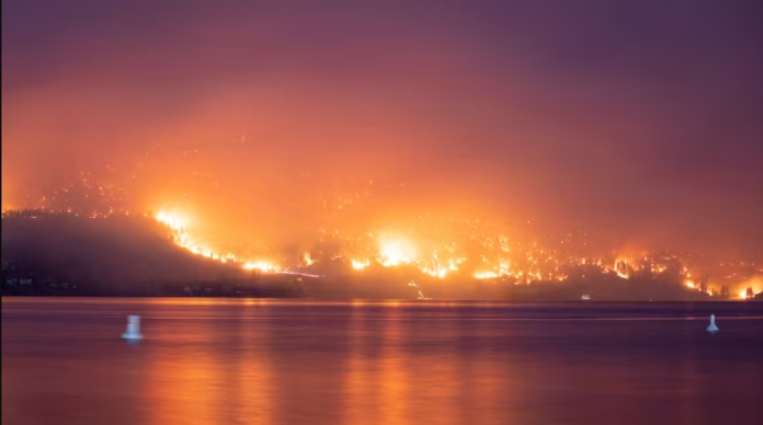 wildfire-cbc.png 图片