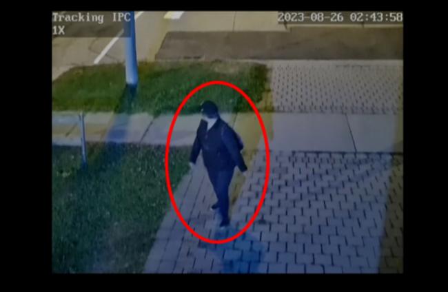 加拿大华人大妈夜闯居民家偷菜 整条街多人中招
