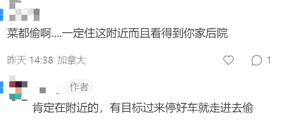 加拿大华人大妈夜闯居民家偷菜 整条街多人中招
