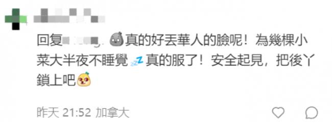 加拿大华人大妈夜闯居民家偷菜 整条街多人中招
