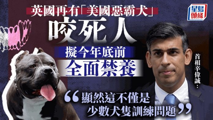 英再有「美國惡霸犬」咬死人 擬年底前全面禁養 图片