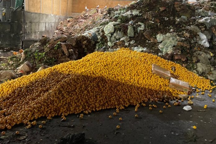web1_dumped-oranges-north-vancouver-pile-Rivest 图片