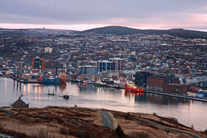 newfoundland-5004190_1280.jpg 图片