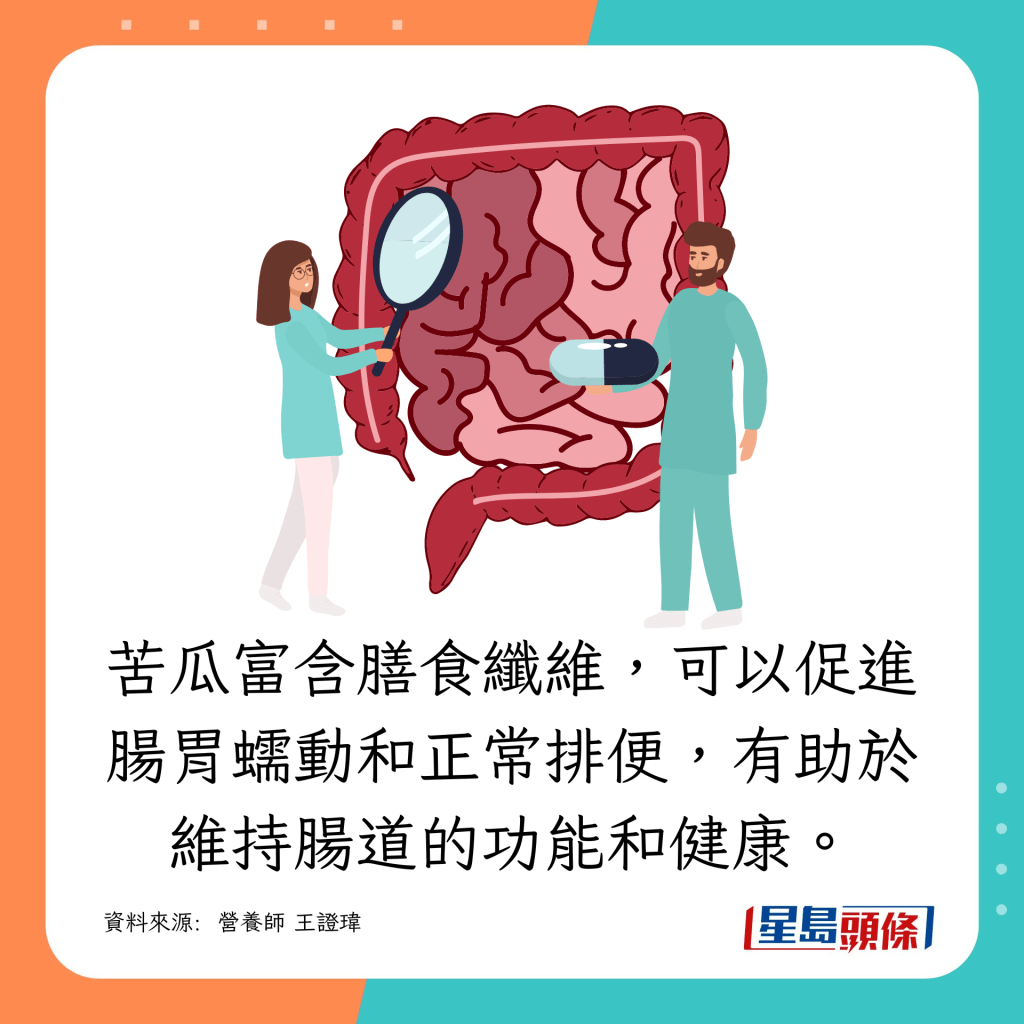 苦瓜含丰富膳食纤维,有助维持肠道健康