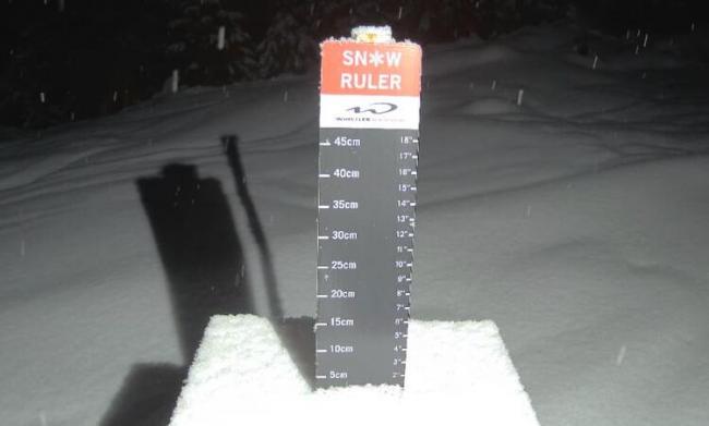 全球最好的滑雪场威斯勒 今年竟变成这个样子