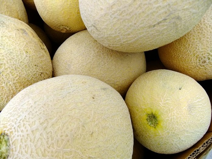 melons-65652_1280.jpg 图片