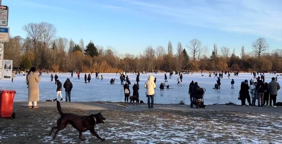 RevolutionFriendly56-Trout-Lake-reddit1.jpg 图片