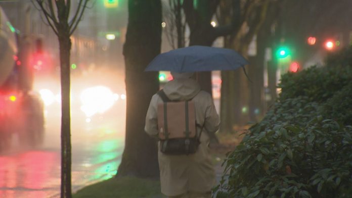 Rain 图片