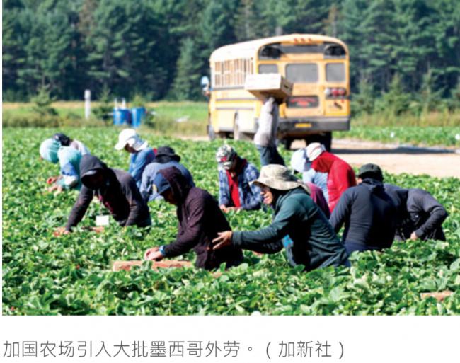 庇护申请数量飚升 取消墨西哥免签呼声响亮