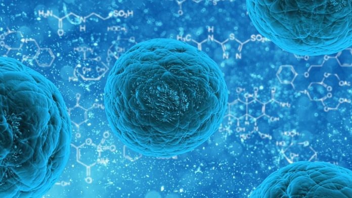 bacteria-163711_1280.jpg 图片
