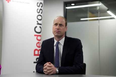 英皇儲威廉罕發聲明:深切關注以哈戰爭釀「太多人喪生」 籲盡快停戰 图片
