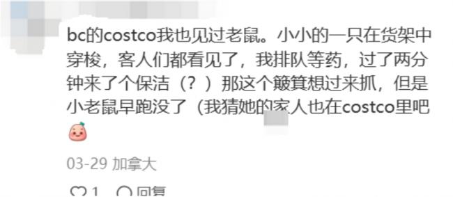 恶心!华人曝光Costco“鼠啃香肠” 卖得火热 恶心!华人曝光Costco“鼠啃香肠” 卖得火热